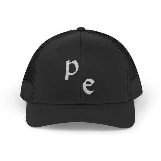 Snapback Cap - Purged Earth Hat